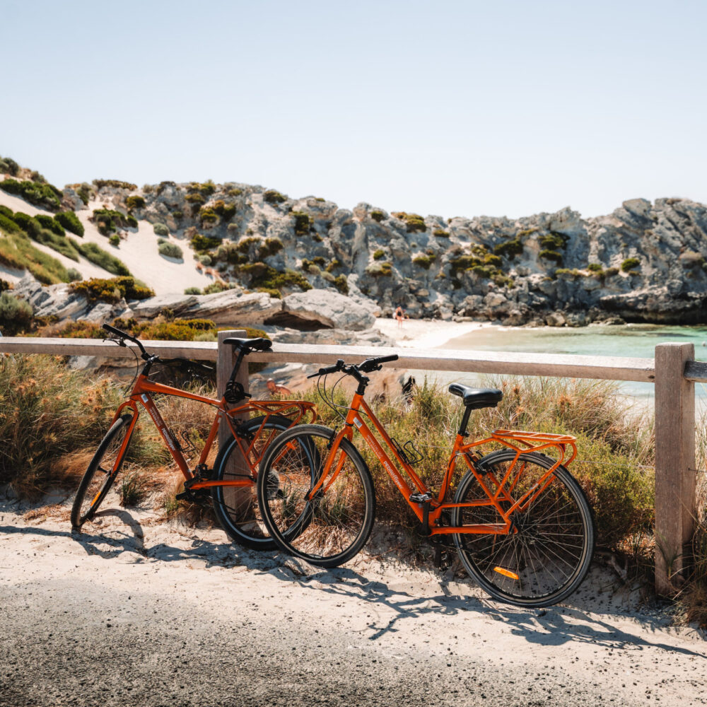 Rottnest Island: How to spend a day in paradise